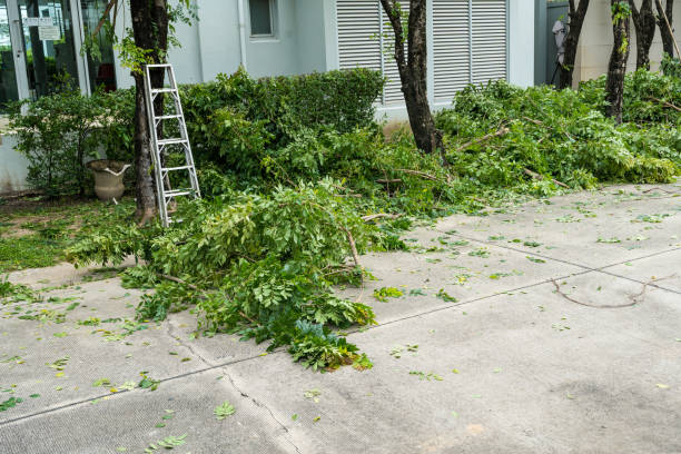 Best Seasonal Cleanup (Spring/Fall)  in Huntertown, IN